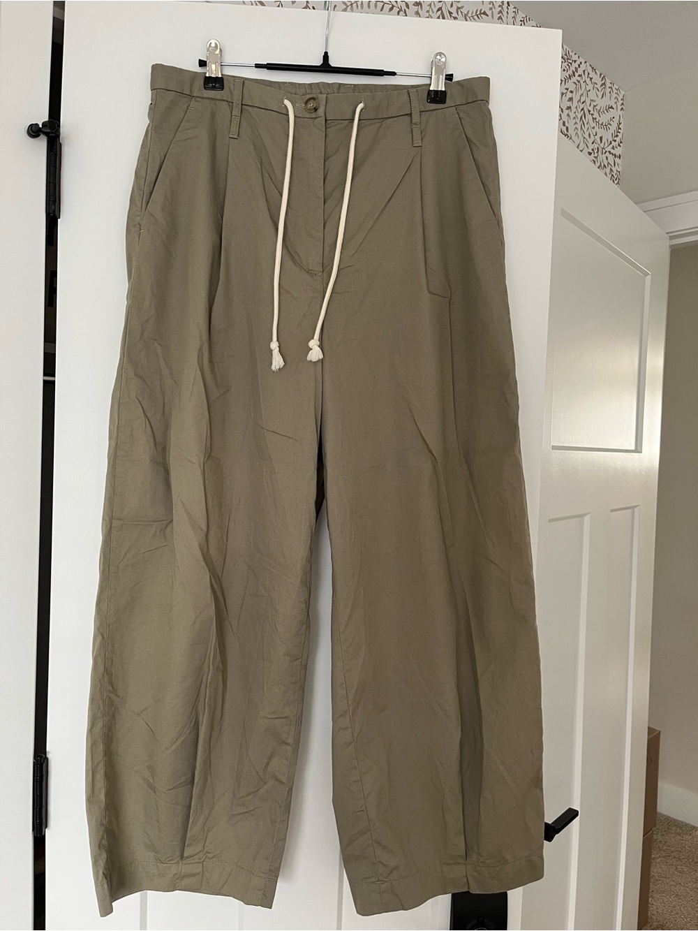 Banana Republic Drawstring Wide Leg Pleated Pant
